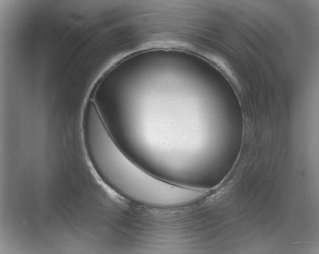 X0000073831046200608100956