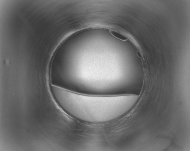 X0000073831048200608100956