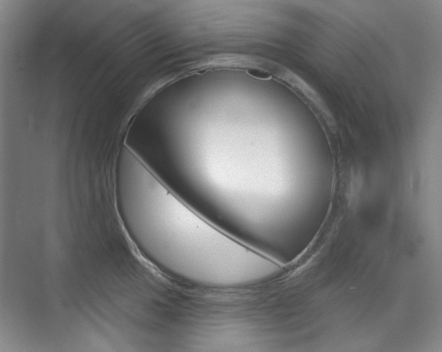 X0000073831049200608100956