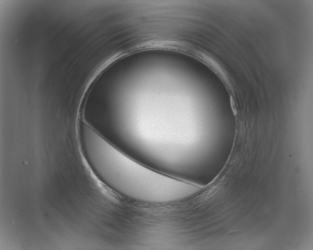 X0000073831050200608100956