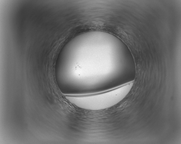 X0000073831057200608100955