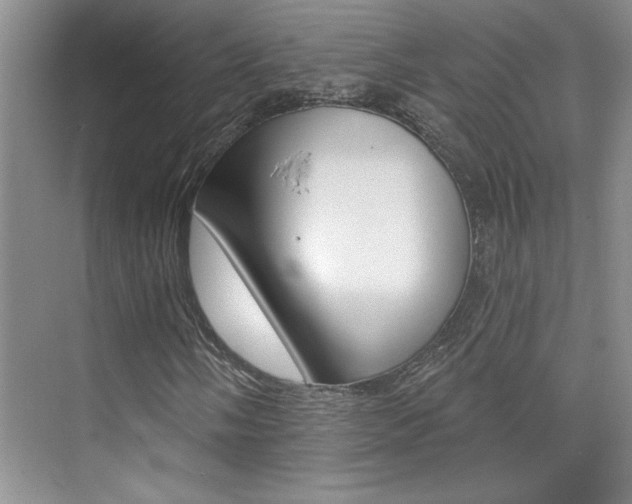 X0000073831058200608100955