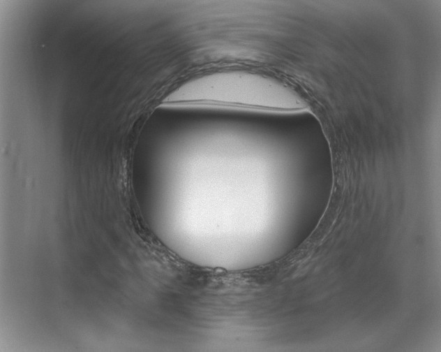 X0000073831061200608100955