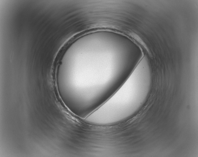 X0000073831068200608100955
