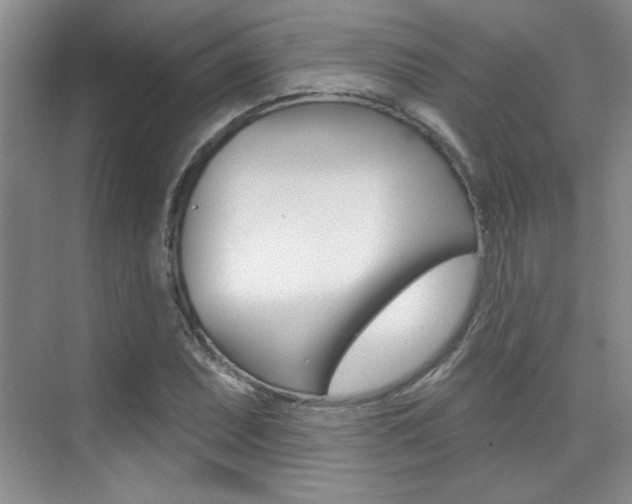 X0000073831071200608100955