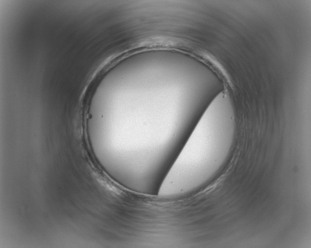 X0000073831075200608100955