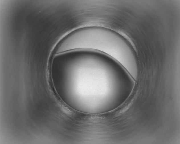 X0000073831077200608100955