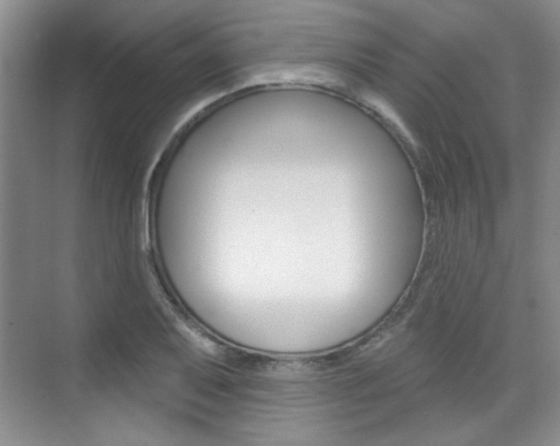 X0000073831079200608100955