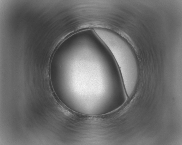 X0000073831081200608100955
