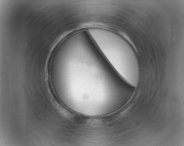 X0000073831082200608100955