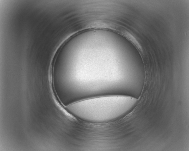 X0000073831084200608100955