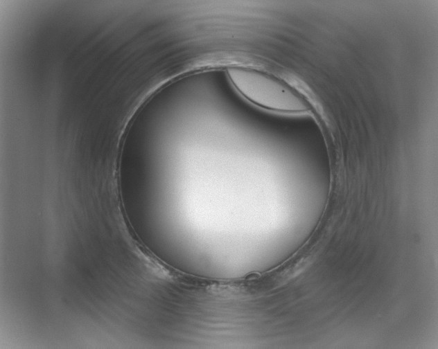 X0000073831089200608100955