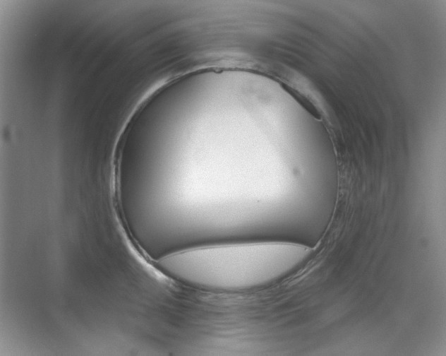 X0000073831095200608100955