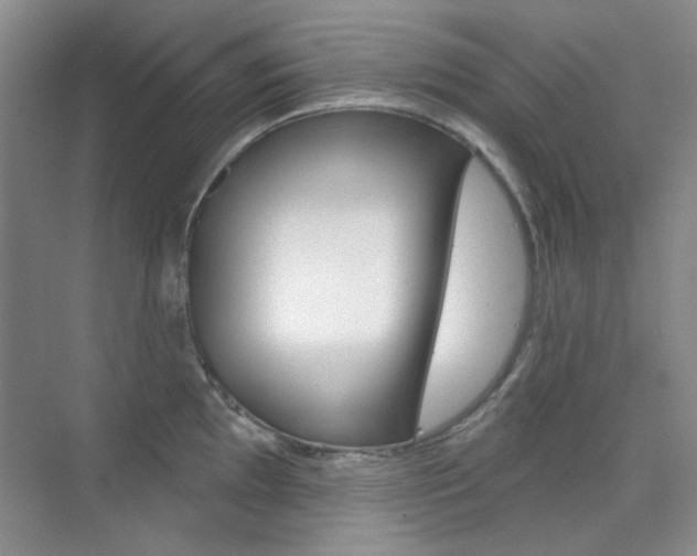 X0000073831097200608100955