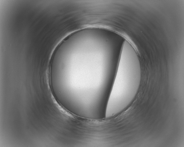 X0000073831100200608100955