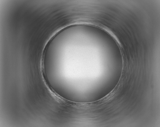 X0000073831101200608100955