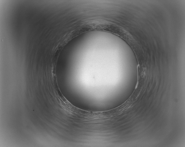 X0000073831108200608100954