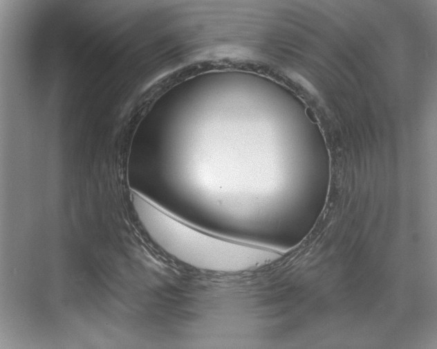 X0000073831112200608100954