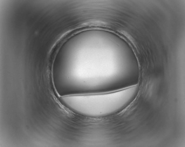 X0000073831115200608100954