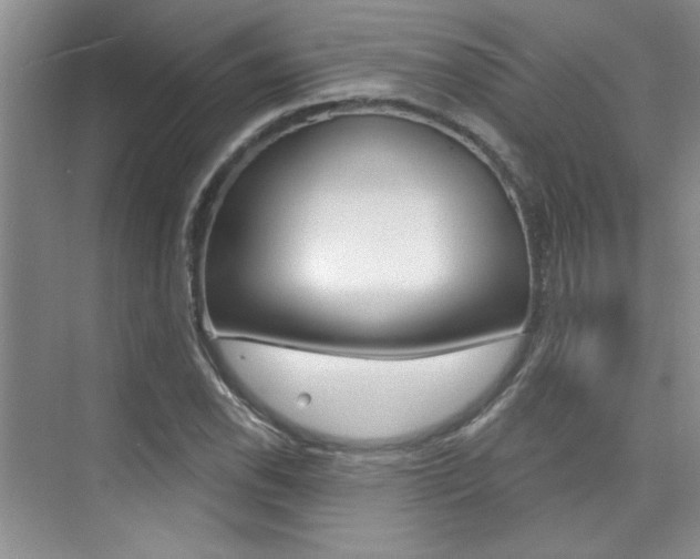 X0000073831118200608100954