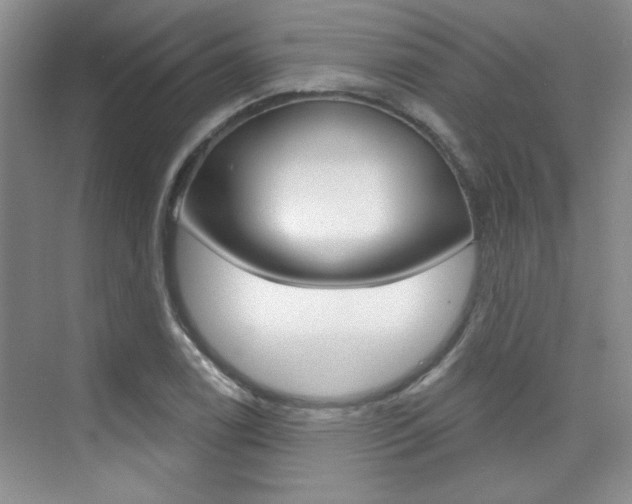 X0000073831122200608100954