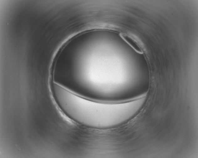X0000073831136200608100954