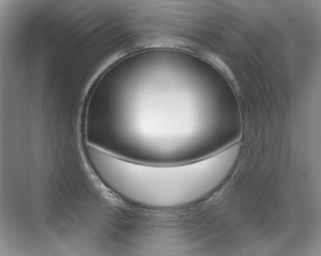 X0000073831138200608100954