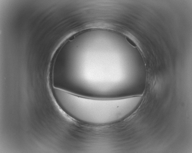 X0000073831139200608100954