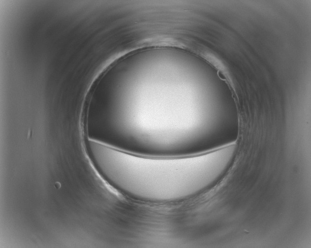 X0000073831141200608100955