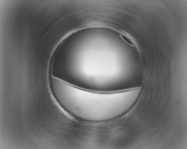 X0000073831142200608100955