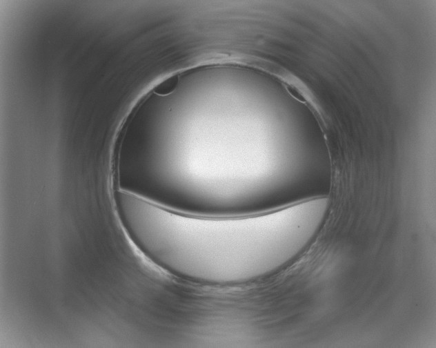 X0000073831143200608100955