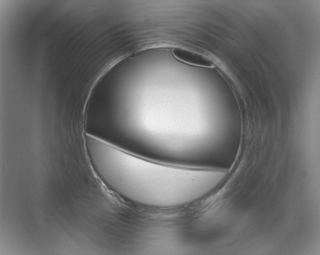 X0000073831145200608100955