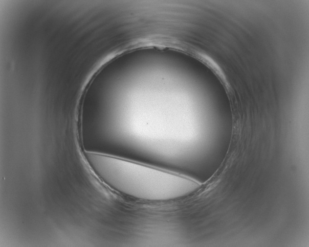 X0000073831146200608100955