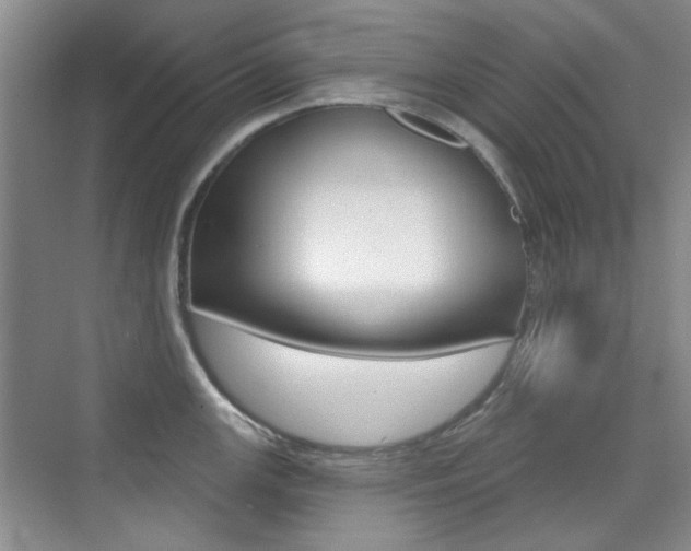 X0000073831147200608100955