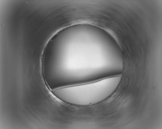 X0000073831151200608100955