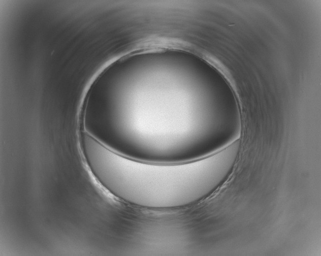 X0000073831152200608100955