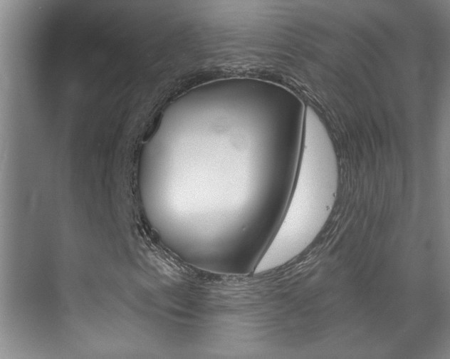 X0000073831153200608100954