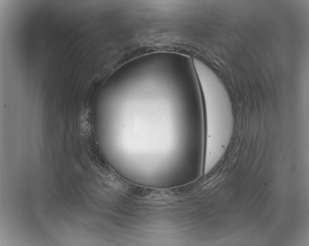 X0000073831156200608100954