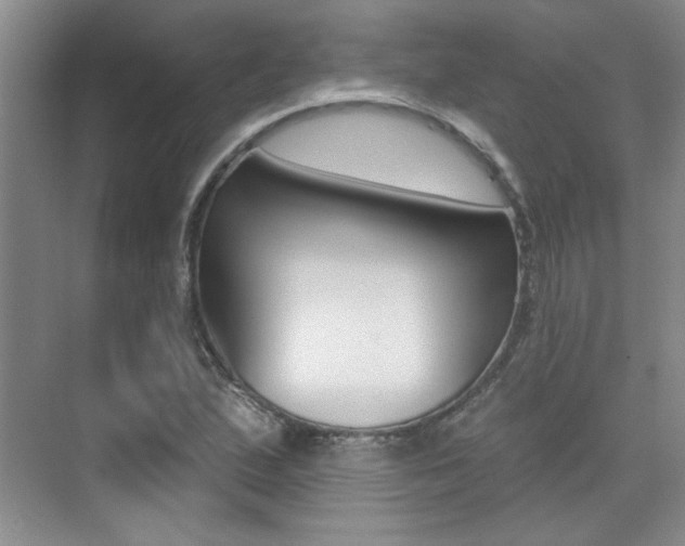 X0000073831167200608100954