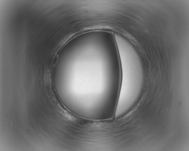 X0000073831177200608100953