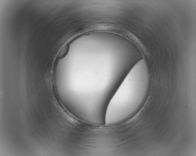X0000073831178200608100953