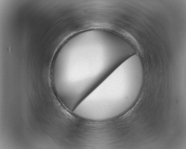 X0000073831182200608100953