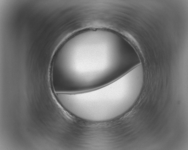 X0000073831183200608100953