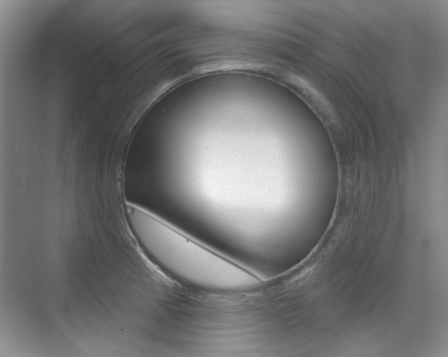 X0000073831185200608100953