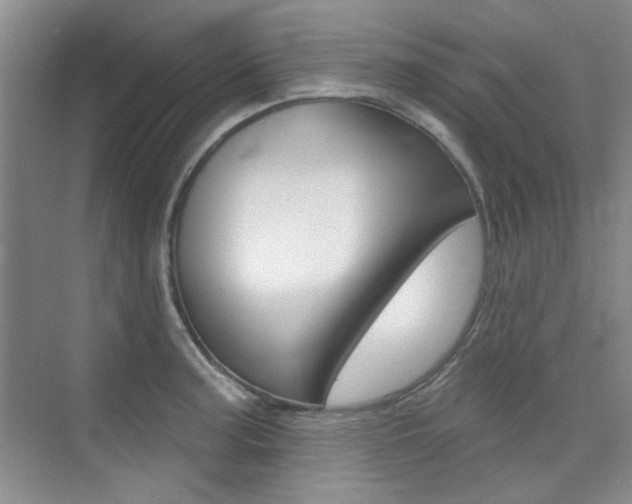 X0000073831187200608100953