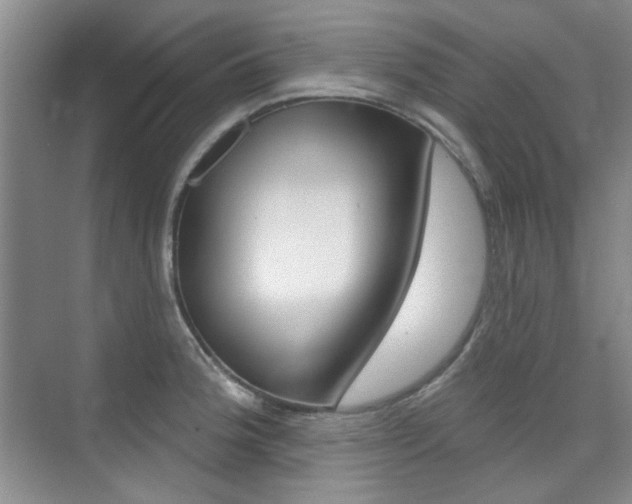 X0000073831188200608100953