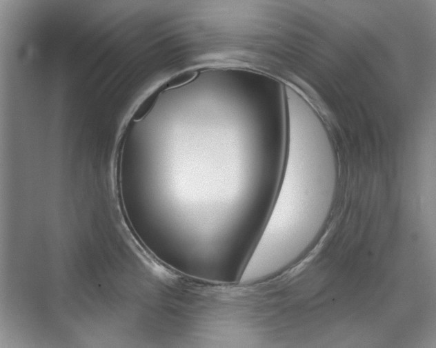 X0000073831196200608100953