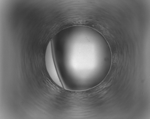 X0000073831202200608100952