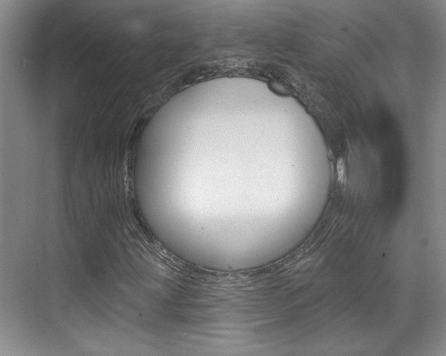 X0000073831203200608100952