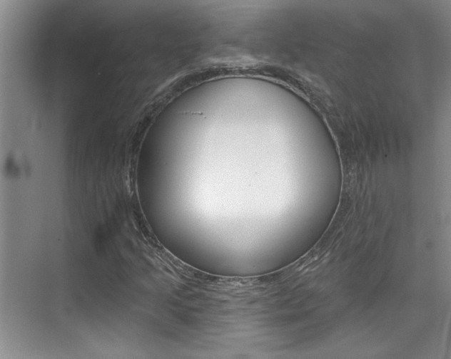 X0000073831205200608100952